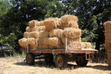 Kuru, sıkıştırılmış saman       