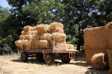 Kuru, sıkıştırılmış saman       