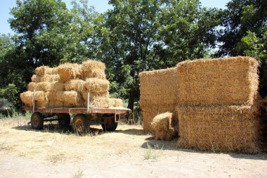 Kuru, sıkıştırılmış saman       