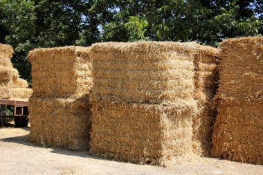 Kuru, sıkıştırılmış saman       