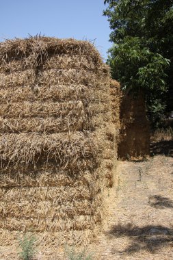 Kuru, sıkıştırılmış saman       