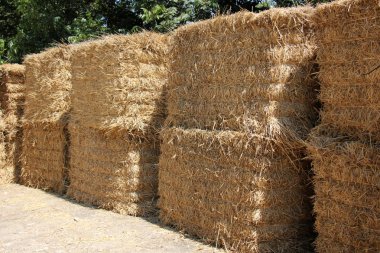 Kuru, sıkıştırılmış saman       