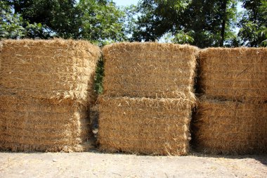 Kuru, sıkıştırılmış saman       