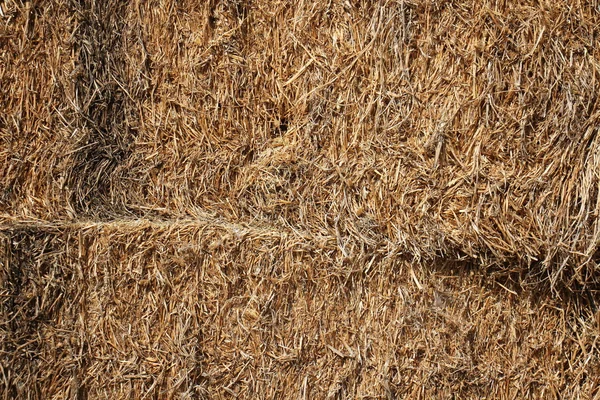 Dry, compressed straw — Stock Photo, Image