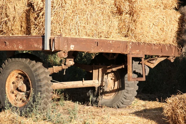 Torr, komprimerad halm — Stockfoto