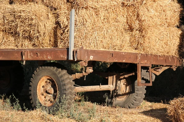 Torr, komprimerad halm — Stockfoto