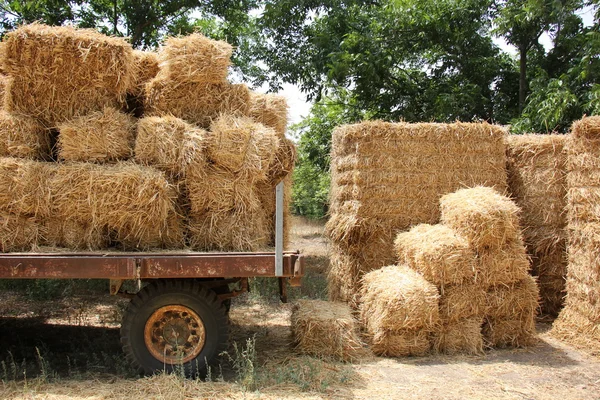 Száraz, tömörített szalma — Stock Fotó