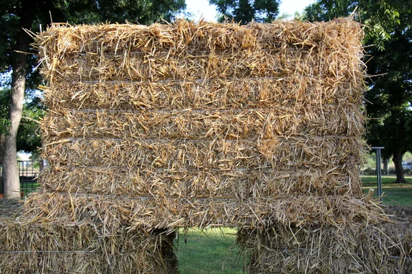 Paille sèche et comprimée — Photo