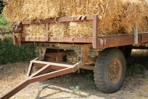 Torr, komprimerad halm — Stockfoto