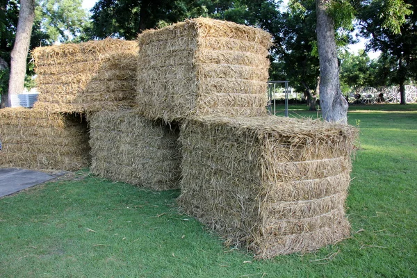 Dry, compressed straw — Stock Photo, Image