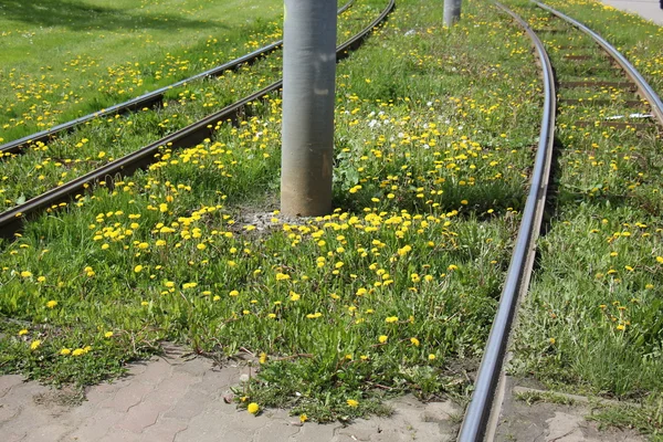 eski demiryolu parça          