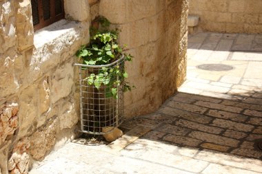 Antik Jerusalem yürümek        