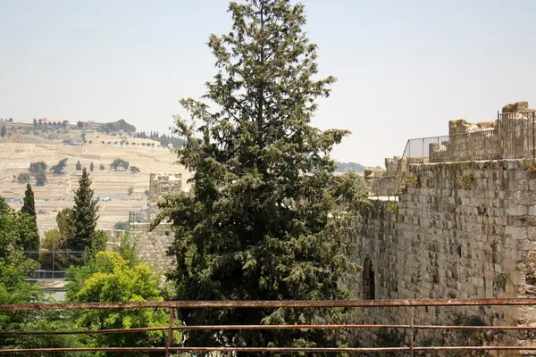 Caminar por la antigua Jerusalén — Foto de Stock