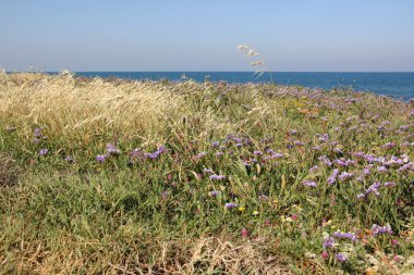 Akdeniz kıyısında            