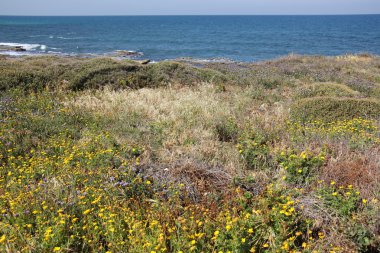 Akdeniz kıyısında            