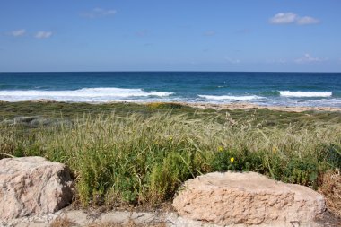 Akdeniz kıyısında            