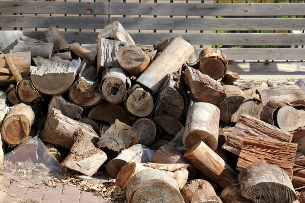 Arbres sciés pour le bois de chauffage — Photo