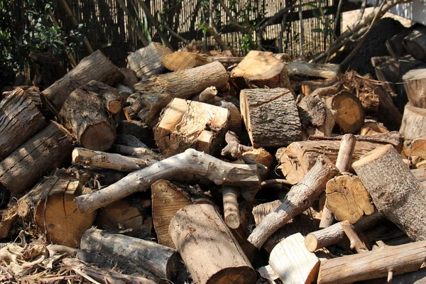 Yakacak odun için sawed ağaçlar — Stok fotoğraf