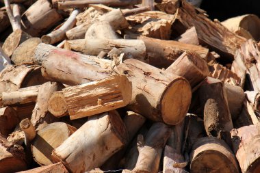 yakacak odun için sawed ağaçlar        