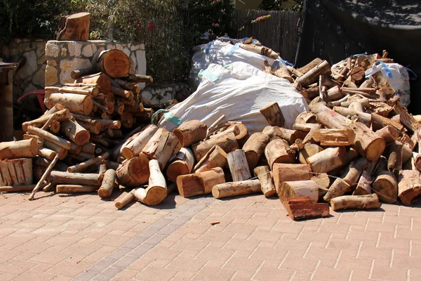 Arbres sciés pour le bois de chauffage — Photo