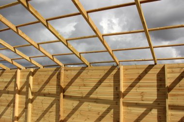 Orman Ürünleri Yapı         