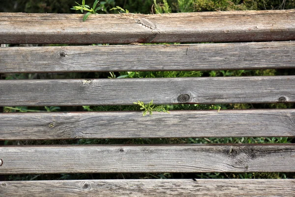 Orman Ürünleri Yapı         