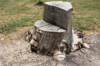 Orman Ürünleri Yapı         