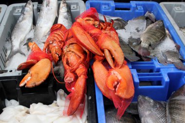 In Bazaarı Acre kentinde