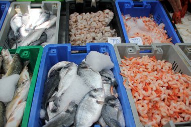 In Bazaarı Acre kentinde