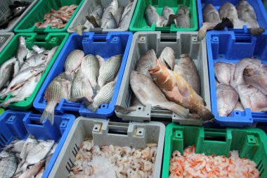 In Bazaarı Acre kentinde