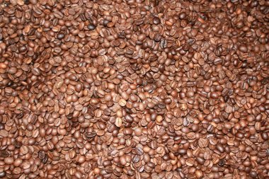 In Bazaarı Acre kentinde