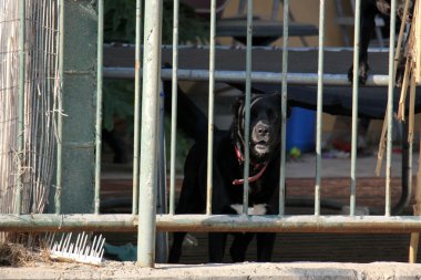 her zaman Sınırdaki telleri     
