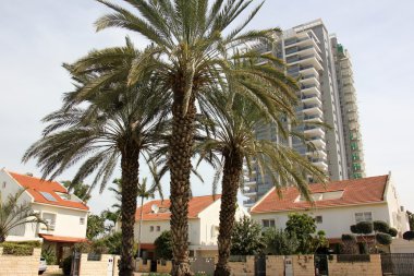 kentsel pencere bizi izliyor       