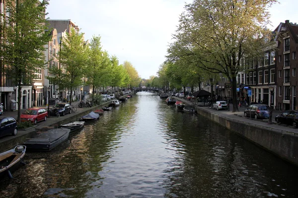 In the bay of the city of Amsterdam — Stock Photo, Image