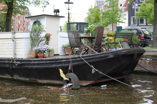 W zatoce z Amsterdamu — Zdjęcie stockowe