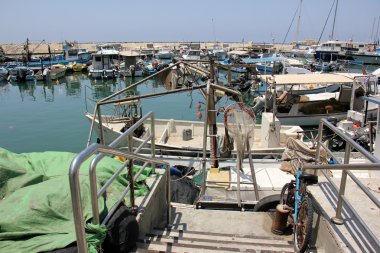 Jaffa bağlantı noktası       