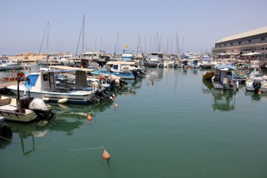 Jaffa bağlantı noktası       