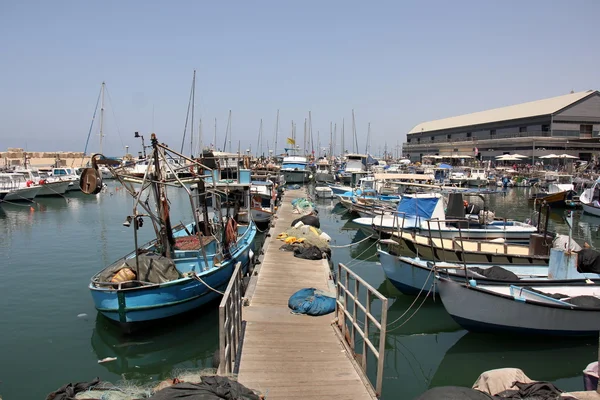 In de poort van Jaffa — Stockfoto