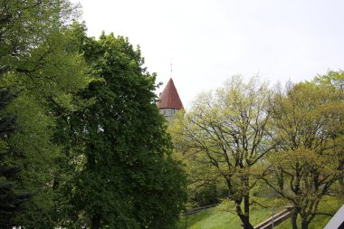 Tallinn, Estonya 'nın başkenti.     