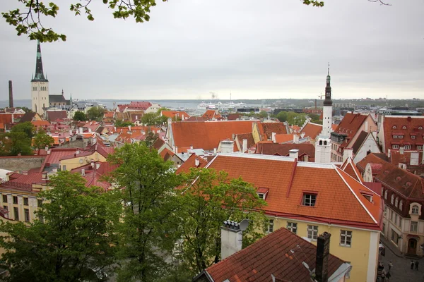 Tallinn, hlavní město Estonska. — Stock fotografie