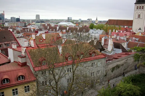 Таллин, столица Эстонии. — стоковое фото