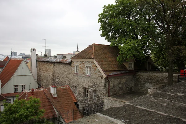 Tallinn, Estonya 'nın başkenti. — Stok fotoğraf