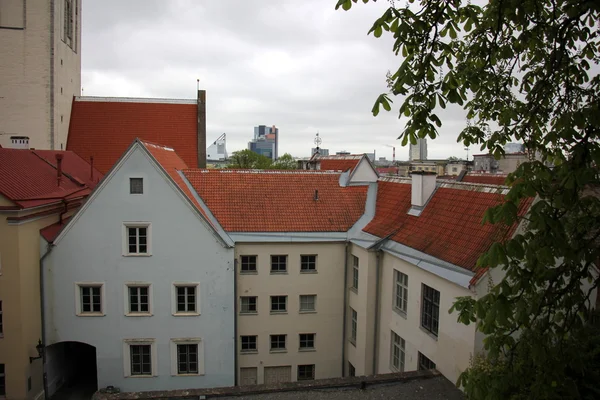 Tallinn, Estonya 'nın başkenti. — Stok fotoğraf