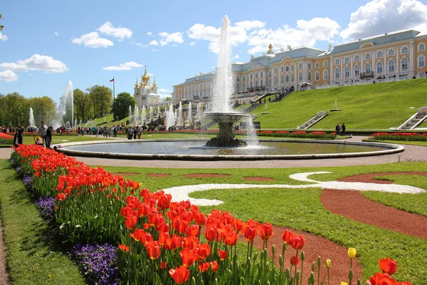 Northern capital St. Petersburg — Stock Photo, Image