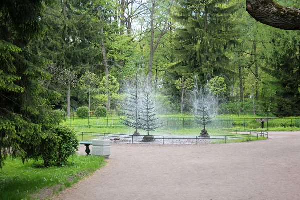 Severní město St. Petersburg — Stock fotografie