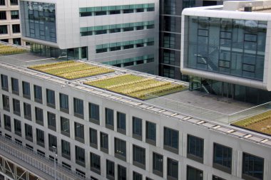 çatı - üst Bina İnşaatı      