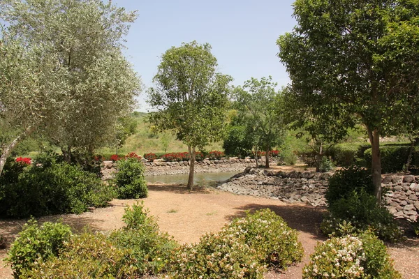 Zomer in Israël — Stockfoto