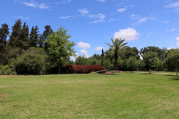 Verano en Israel — Foto de Stock