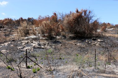 her zaman Sınırdaki telleri      
