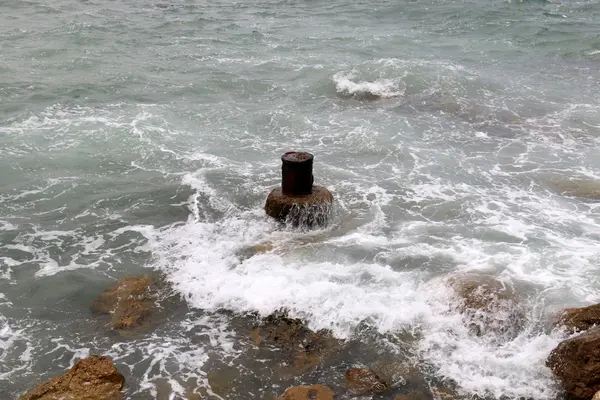 Tel - Aviv ciudad por el mar — Foto de Stock